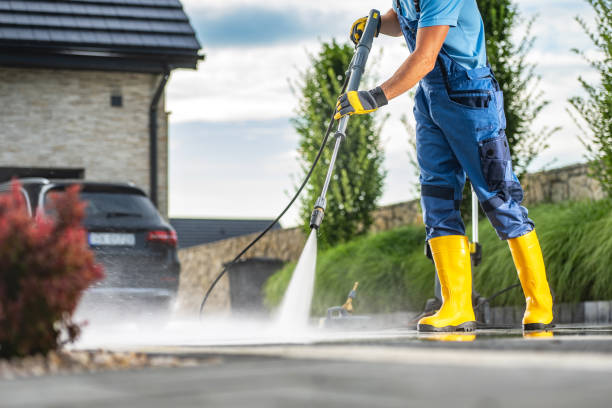 Best Solar Panel Cleaning  in Geneva, AL